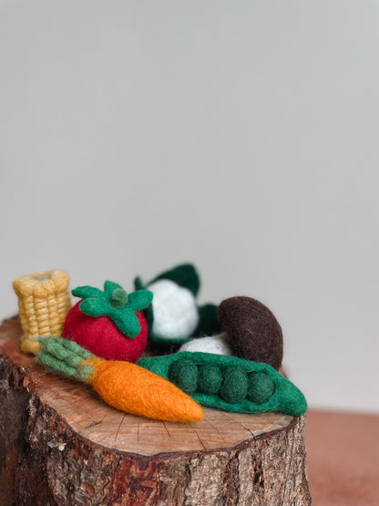 Vegetable Felted Toy Set